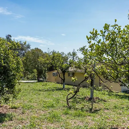 Tatil Evi In The Nature By Konnect, Ipsos Ágios Márkos
